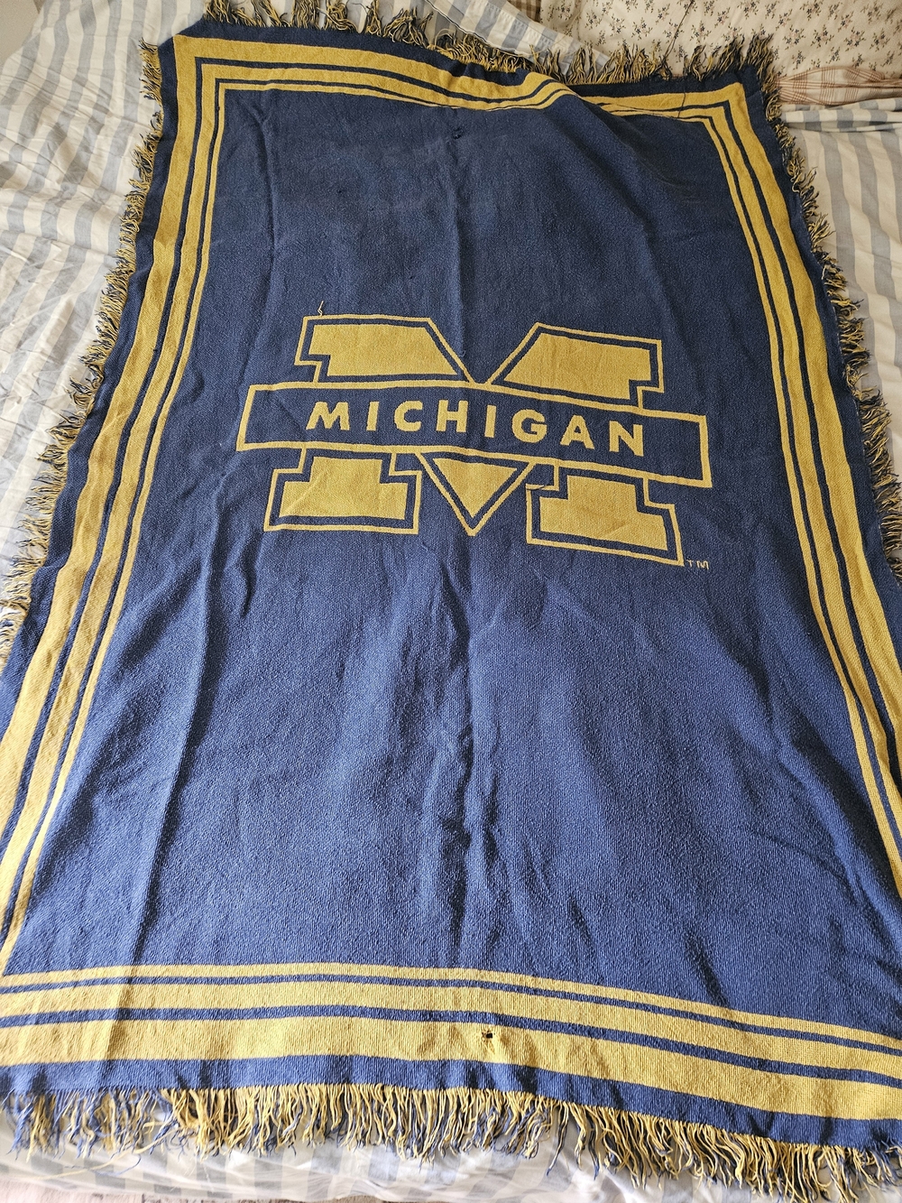 Michigan Logo Navy and Maize Throw Blanket